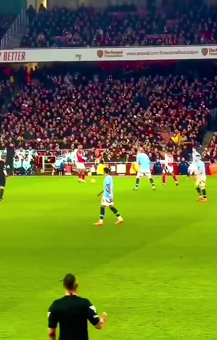 DB官网在线登录入口急坏了😂恩瓦内里进球前几度要球几乎要摊手，赖斯送上神助攻